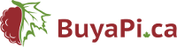 Buyapi.ca Coupon